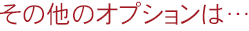 その他のオプションは…