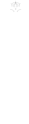 お食事　Menu