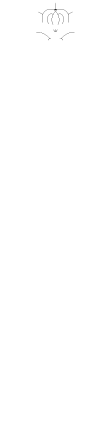 宴会プラン　Plan