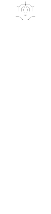 祝い事・結納・記念日　Auspicious