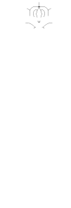 お昼の献立　Menu