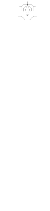 こだわりの郷土料理　Concept
